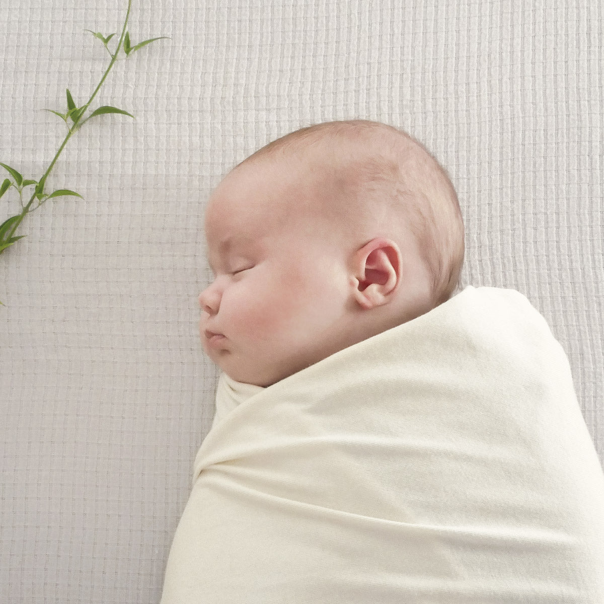 Organic Cotton Swaddle