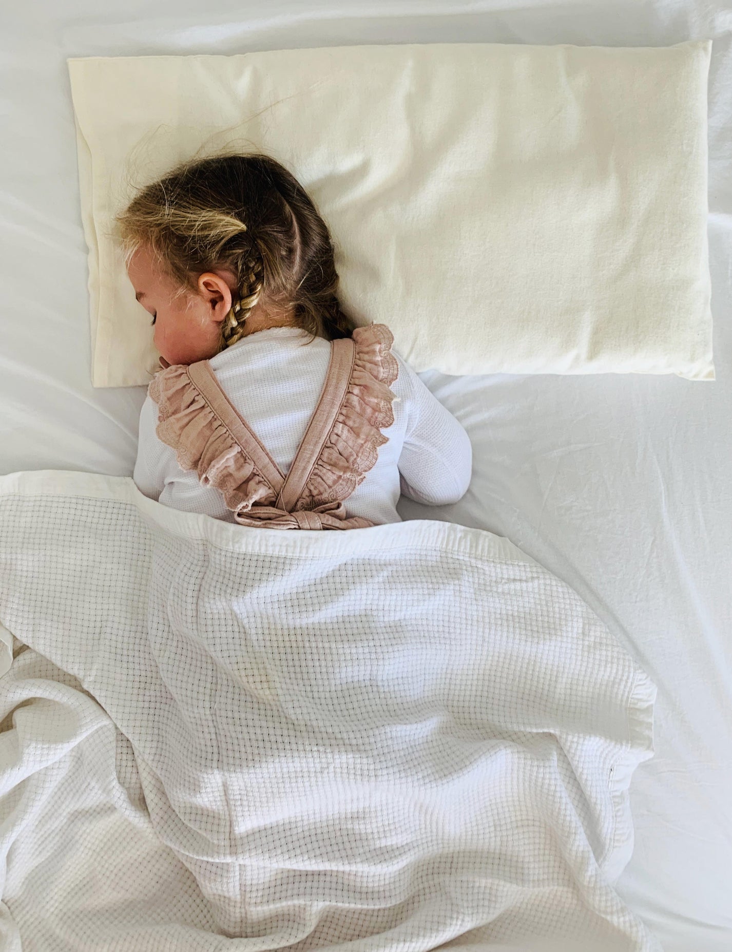 Organic Cotton & Hemp Toddler Pillow Nature's Sway